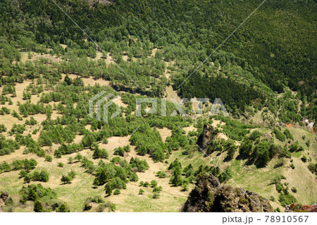 黒斑山、蛇骨岳、仙人岳　Jバンド　 浅間火山　ジオサイト　外輪山縦走 78910567