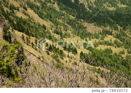 黒斑山、蛇骨岳、仙人岳　Jバンド　 浅間火山　ジオサイト　外輪山縦走 78910572