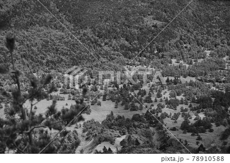 黒斑山、蛇骨岳、仙人岳　Jバンド　 浅間火山　ジオサイト　外輪山縦走 78910588