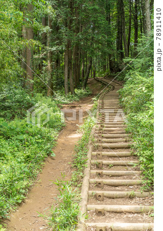 天覧山から多峰主山へ向かう道｜埼玉県飯能市 78911410