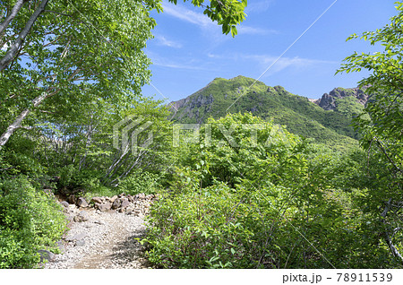 栃木県那須岳の登山道から見た山々の風景 栃木県那須岳の登山道から見た山々の風景 78911539