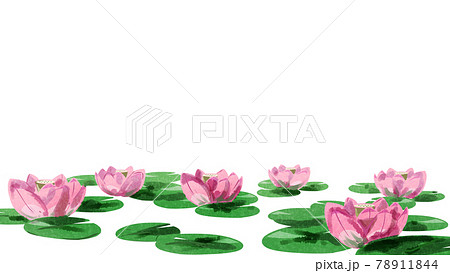 ハスの花 ピンク フレーム 水彩風のイラスト素材