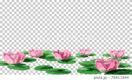ハスの花 ピンク フレーム 水彩風のイラスト素材