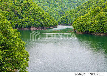 海尻橋から見た風景 五十里湖に架かる橋 五十里湖周辺の景色 日光市 海尻橋から見た風景 五十里湖に架かる橋 五十里湖周辺の景色 日光市 78912550