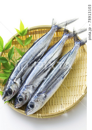 とびうお11 78913103