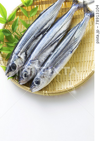 とびうお12 78913104