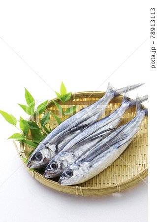 とびうお7 78913113