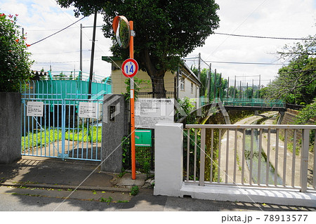 中野区立明和中学校(元第四中学校)04校内を流れる妙正寺川 78913577