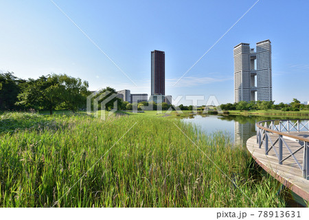 福岡アイランドシティ　アイランドシティ中央公園　ニュータウン風景 78913631