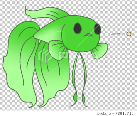 エサを吐き出すベタ 緑色 のイラスト素材
