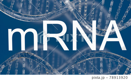 The mrna or messenger Ribonucleic Acid white text for medical or outbreak concept 3d rendering The mrna or messenger Ribonucleic Acid white text for medical or outbreak concept 3d rendering 78913920