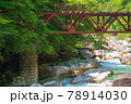 阿寺渓谷　阿寺川を横断する廃線の森林鉄道の風景 78914030