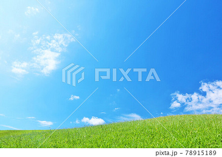 夏の青空と新緑の草原風景 78915189