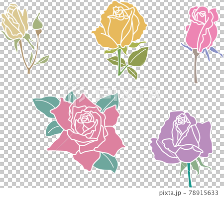 五色玫瑰 78915633