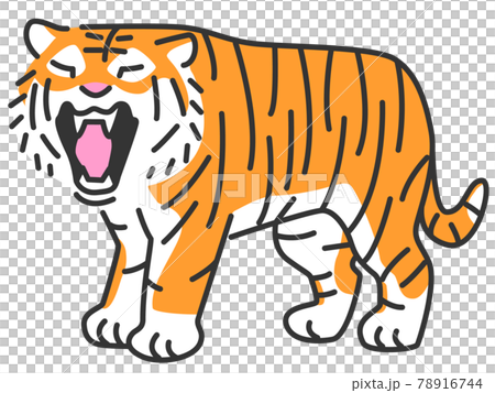 A tiger yawning like barking 78916744