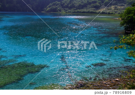 中国四川省 九寨溝の湖沼群 五花海の青い水 中国四川省 九寨溝の湖沼群 五花海の青い水 78916809