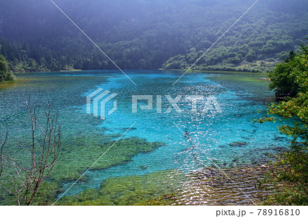 中国四川省　九寨溝の湖沼群　五花海の青い水 78916810