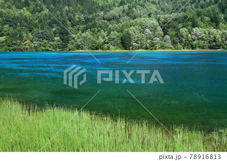 中国四川省　九寨溝の湖沼群　五花海の青い水 78916813