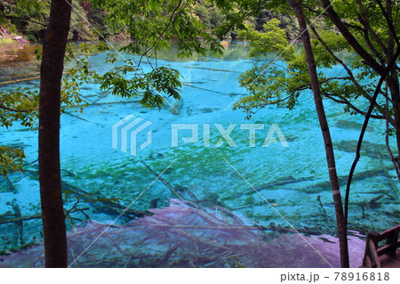 中国四川省　九寨溝の湖沼群　五花海の青い水 78916818