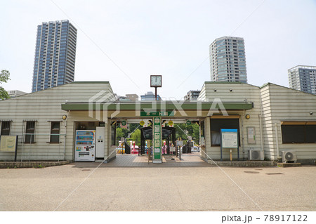 不忍池のボート場 不忍池のボート場 78917122