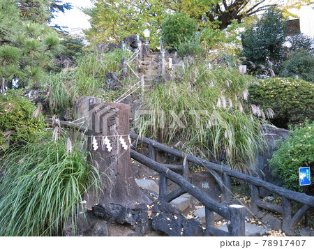 渋谷区の鳩森八幡神社にある「千駄ヶ谷の富士塚」 渋谷区の鳩森八幡神社にある「千駄ヶ谷の富士塚」 78917407