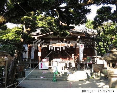 渋谷区の鳩森八幡神社(御社殿・高野槙) 渋谷区の鳩森八幡神社(御社殿・高野槙) 78917413