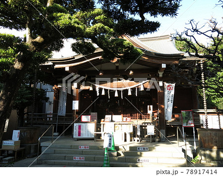 渋谷区の鳩森八幡神社（御社殿・高野槙） 78917414