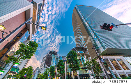 日本の東京都市景観　赤坂の街並みなどを望む 78917973