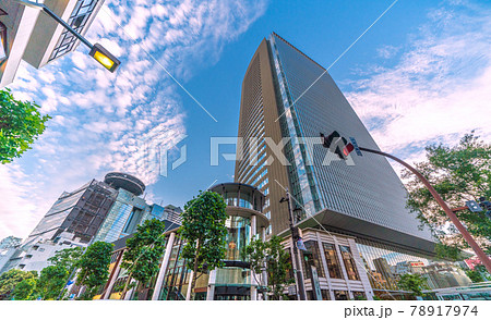 日本の東京都市景観　赤坂の街並みなどを望む 78917974