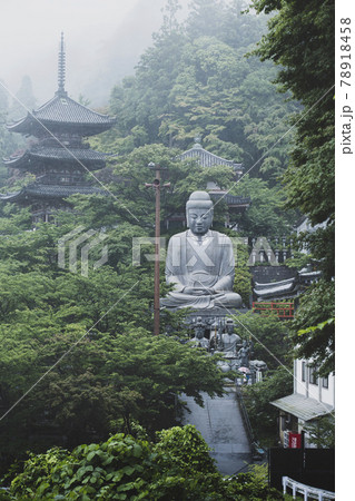壺阪寺の新緑大仏 78918458
