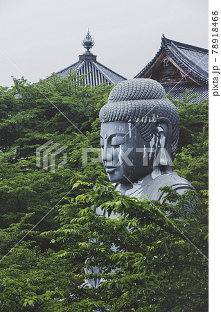 壺阪寺の新緑大仏 壺阪寺の新緑大仏 78918466
