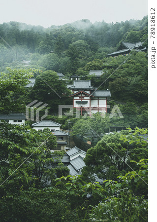 雨の長谷寺 78918612