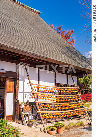 (山梨県)旧高野家住宅 (甘草屋敷) ころ柿天日干し (山梨県)旧高野家住宅 (甘草屋敷) ころ柿天日干し 78919310