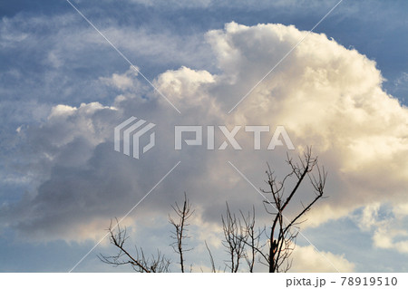 雲 綿菓子 空 78919510