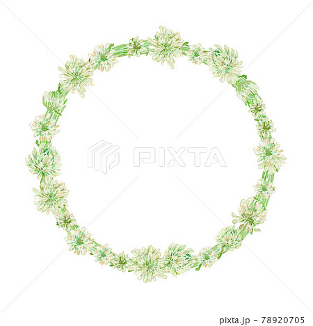 シロツメクサの花かんむりの水彩イラスト 78920705