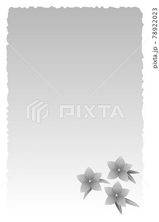 喪中はがき 桔梗の花のイラスト素材 78922023 Pixta