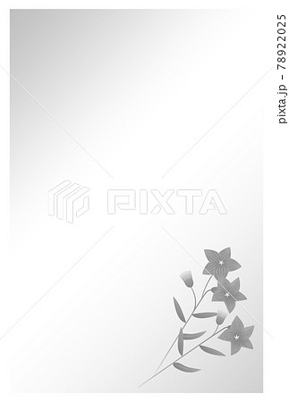 喪中はがき 桔梗の花のイラスト素材 78922025 Pixta