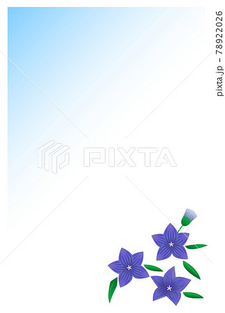 喪中はがき 桔梗の花のイラスト素材 7226
