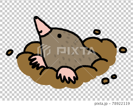 mole animal clipart background