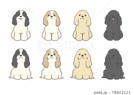コッカースパニエル　ベクターイラストレーションセット 78922121