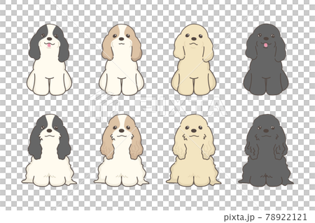 コッカースパニエル　ベクターイラストレーションセット 78922121