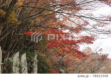 広島県 廿日市市 宮島町 大聖院の紅葉 78922506