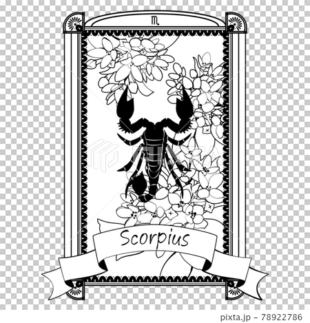 花和天蠍座的插圖 78922786