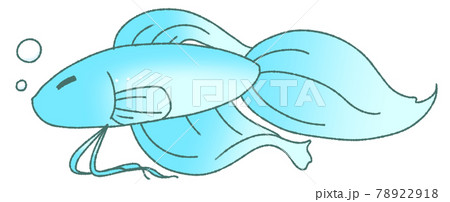 横になって眠るベタ 水色 のイラスト素材