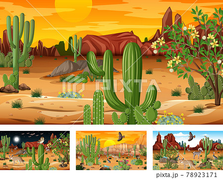 Different scenes with desert forest landscape with animals and plants Different scenes with desert forest landscape with animals and plants 78923171