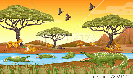 African forest landscape background 78923172