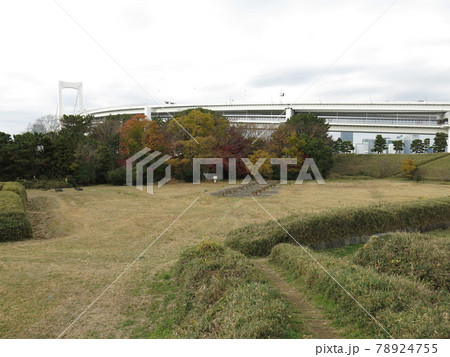 紅葉に彩られた秋の台場公園(背後にレインボーブリッジ) 紅葉に彩られた秋の台場公園(背後にレインボーブリッジ) 78924755
