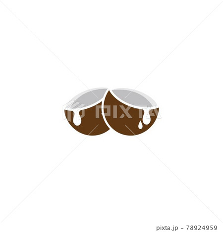 Coconut fruits vector 78924959