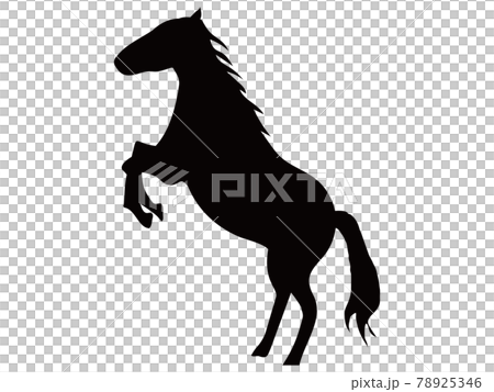 Silhouette of a standing horse Silhouette of a standing horse 78925346