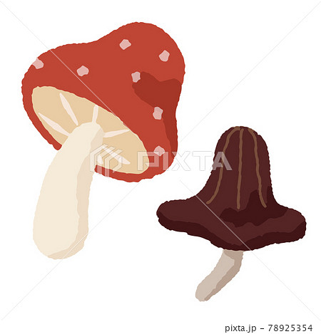 きのこの手描き風イラストのイラスト素材